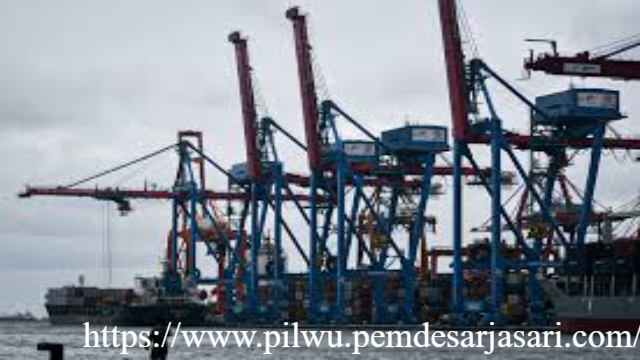 Pemerintah Wajibkan DHE 100 Persen Masuk RI