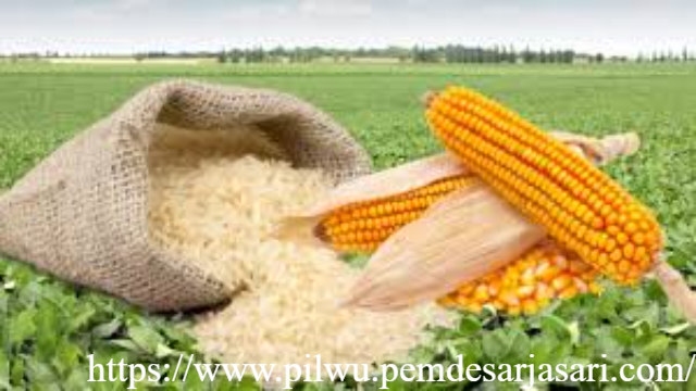 Usai Jagung dan Beras