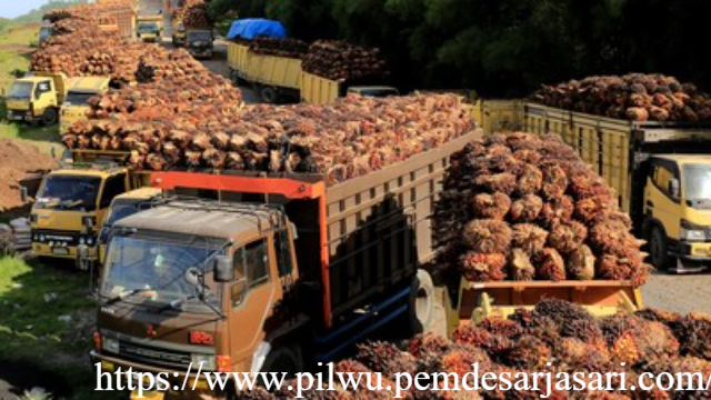 Pro dan Kontra Penunjukan BUMN PT DSI