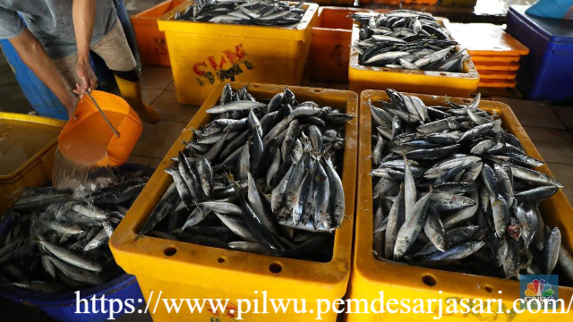 BPS Ungkap Harga Ikan Segar Naik Gara-gara BBM